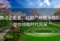 舞动正能量，红歌广场舞串烧DJ带你领略时代风采