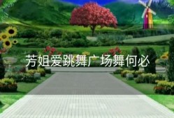 芳姐爱跳舞广场舞何必