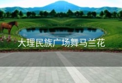 大理民族广场舞马兰花