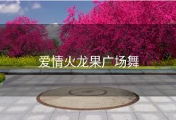 爱情火龙果广场舞