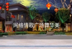 网络情歌广场舞华美