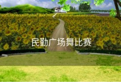 民勤广场舞比赛