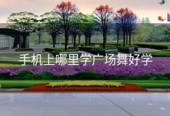 手机上哪里学广场舞好学