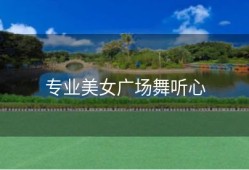 专业美女广场舞听心