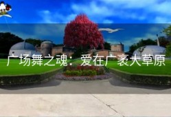 广场舞之魂：爱在广袤大草原