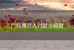 广场舞双人对跳火棘棘