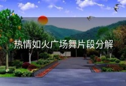 热情如火广场舞片段分解