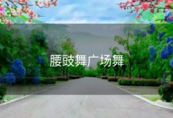 腰豉舞广场舞