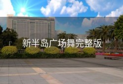 新半岛广场舞完整版