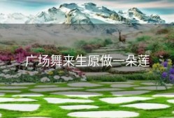 广场舞来生原做一朵莲