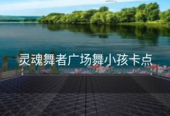 灵魂舞者广场舞小孩卡点