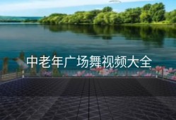 中老年广场舞视频大全