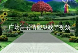 广场舞爱情傻瓜教学视频