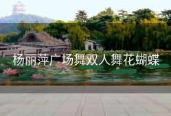 杨丽萍广场舞双人舞花蝴蝶