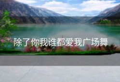 除了你我谁都爱我广场舞
