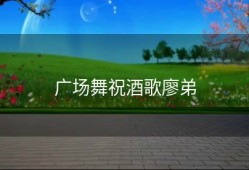 广场舞祝酒歌廖弟