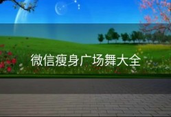 微信瘦身广场舞大全