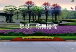 梦梦广场舞慢摇