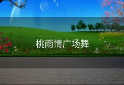 桃雨情广场舞