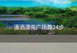 潇洒漂亮广场舞24步