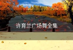 许育兰广场舞全集