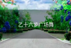 乙十六步广场舞