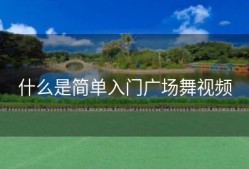 什么是简单入门广场舞视频