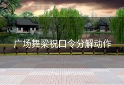 广场舞梁祝口令分解动作