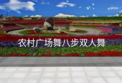 农村广场舞八步双人舞