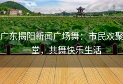 广东揭阳新闻广场舞：市民欢聚一堂，共舞快乐生活