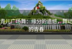 青儿广场舞：缘分的遗憾，舞动的青春