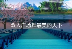 双人广场舞最美的天下