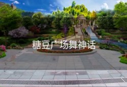 糖豆广场舞神话