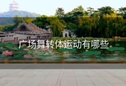 广场舞转体运动有哪些