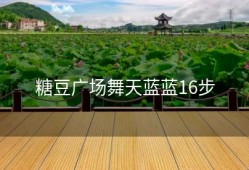 糖豆广场舞天蓝蓝16步