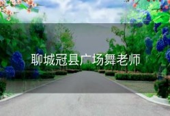 聊城冠县广场舞老师