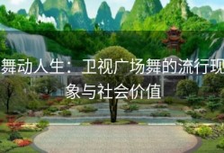 舞动人生：卫视广场舞的流行现象与社会价值