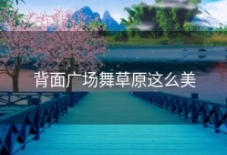 背面广场舞草原这么美