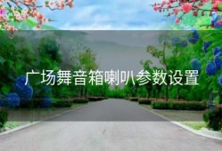 广场舞音箱喇叭参数设置