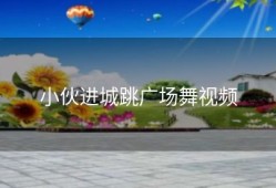 小伙进城跳广场舞视频