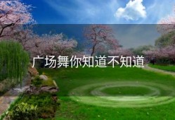 广场舞你知道不知道