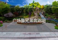 广场舞兄弟奔跑吧