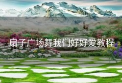 扇子广场舞我们好好爱教程