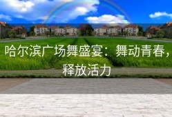 哈尔滨广场舞盛宴：舞动青春，释放活力