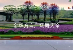 金华方言广场舞大全