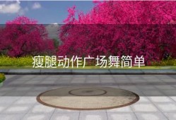 瘦腿动作广场舞简单