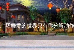 广场舞爱的世界只有你分解动作