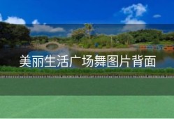 美丽生活广场舞图片背面