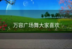 万容广场舞大家喜欢