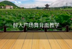 醉人广场舞背面教学